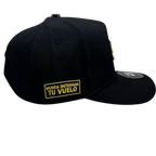 DB HATS - AVIONETA DORADA