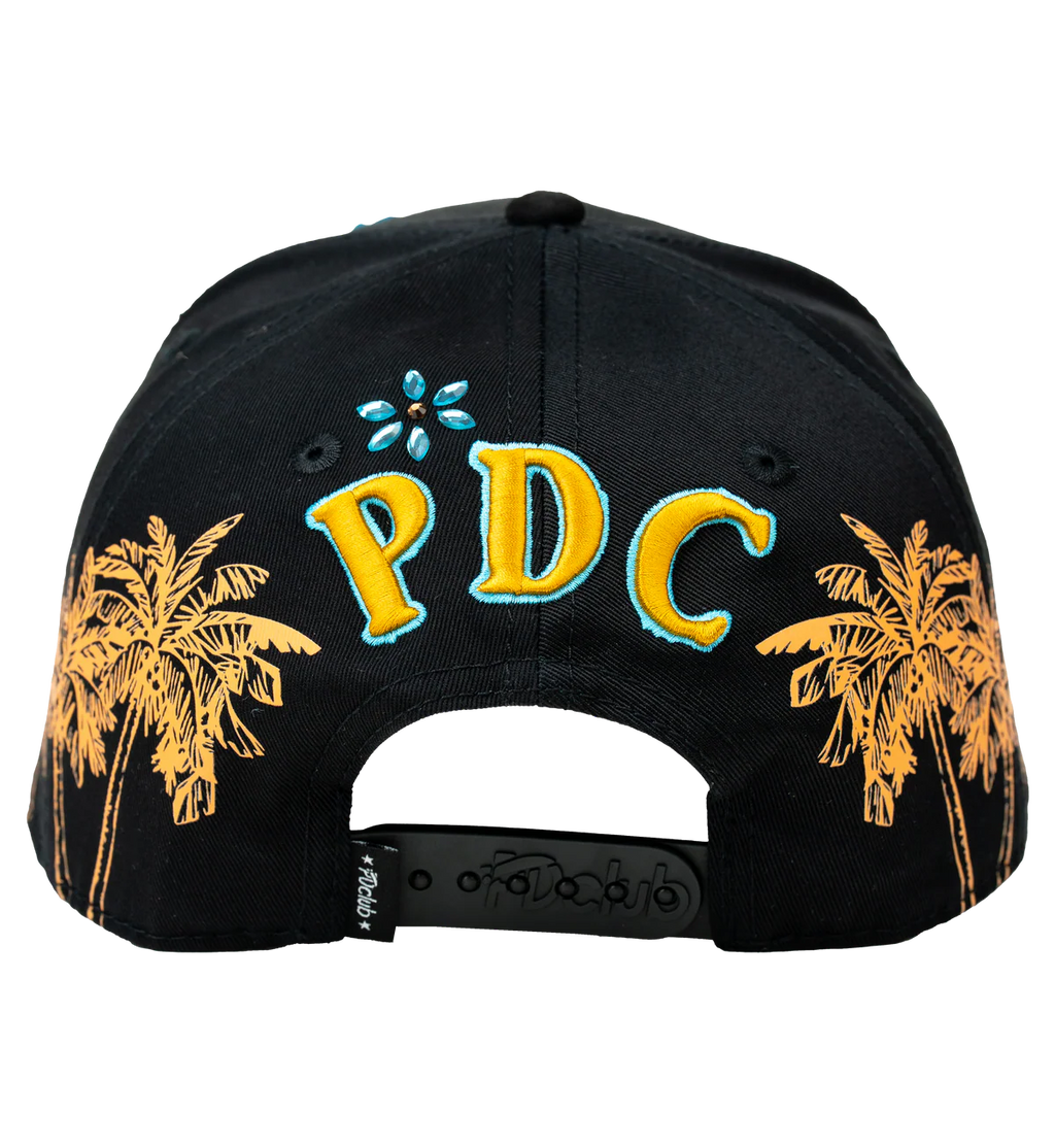 DISTRIC PDC
