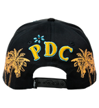DISTRIC PDC
