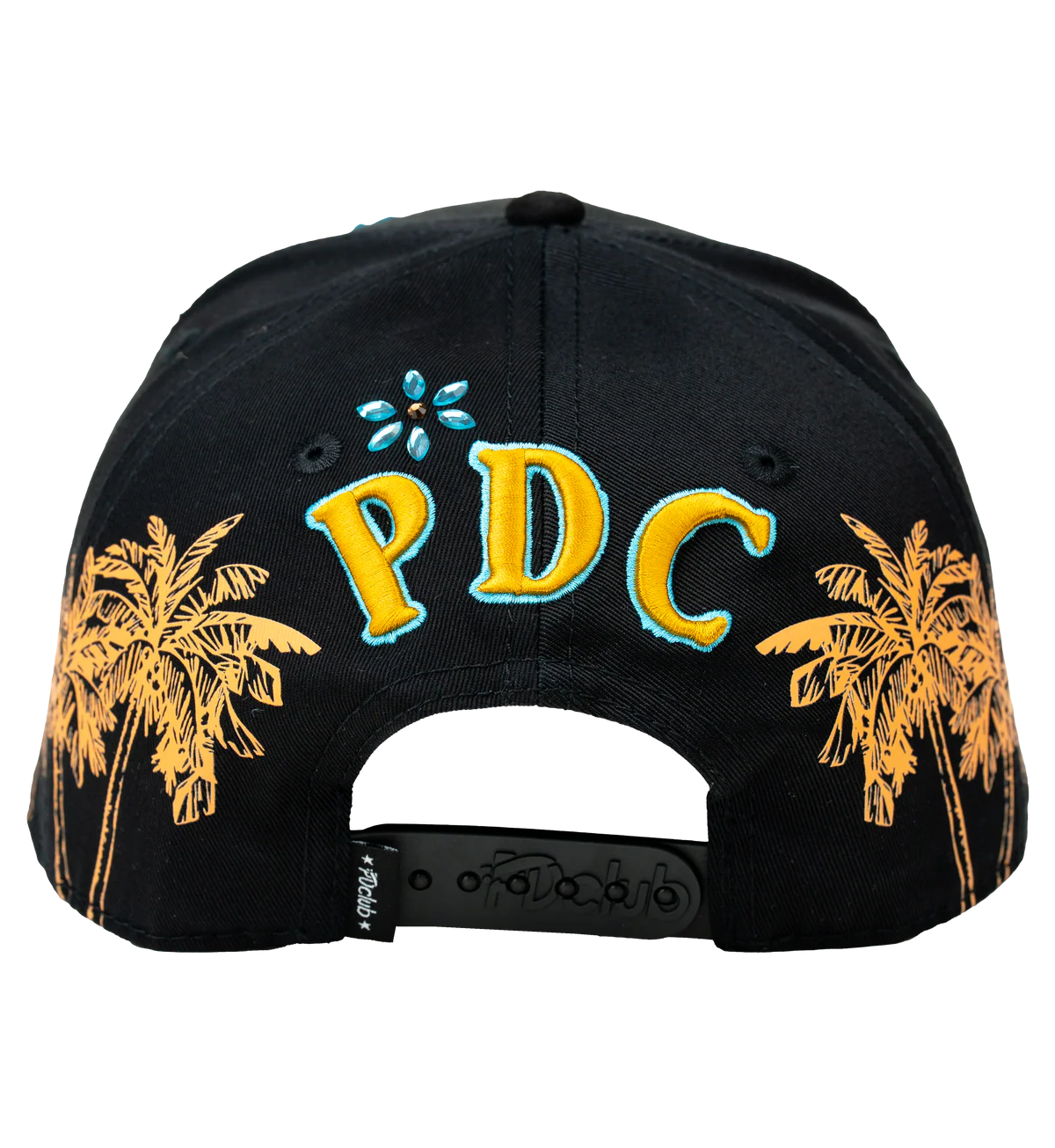 DISTRIC PDC